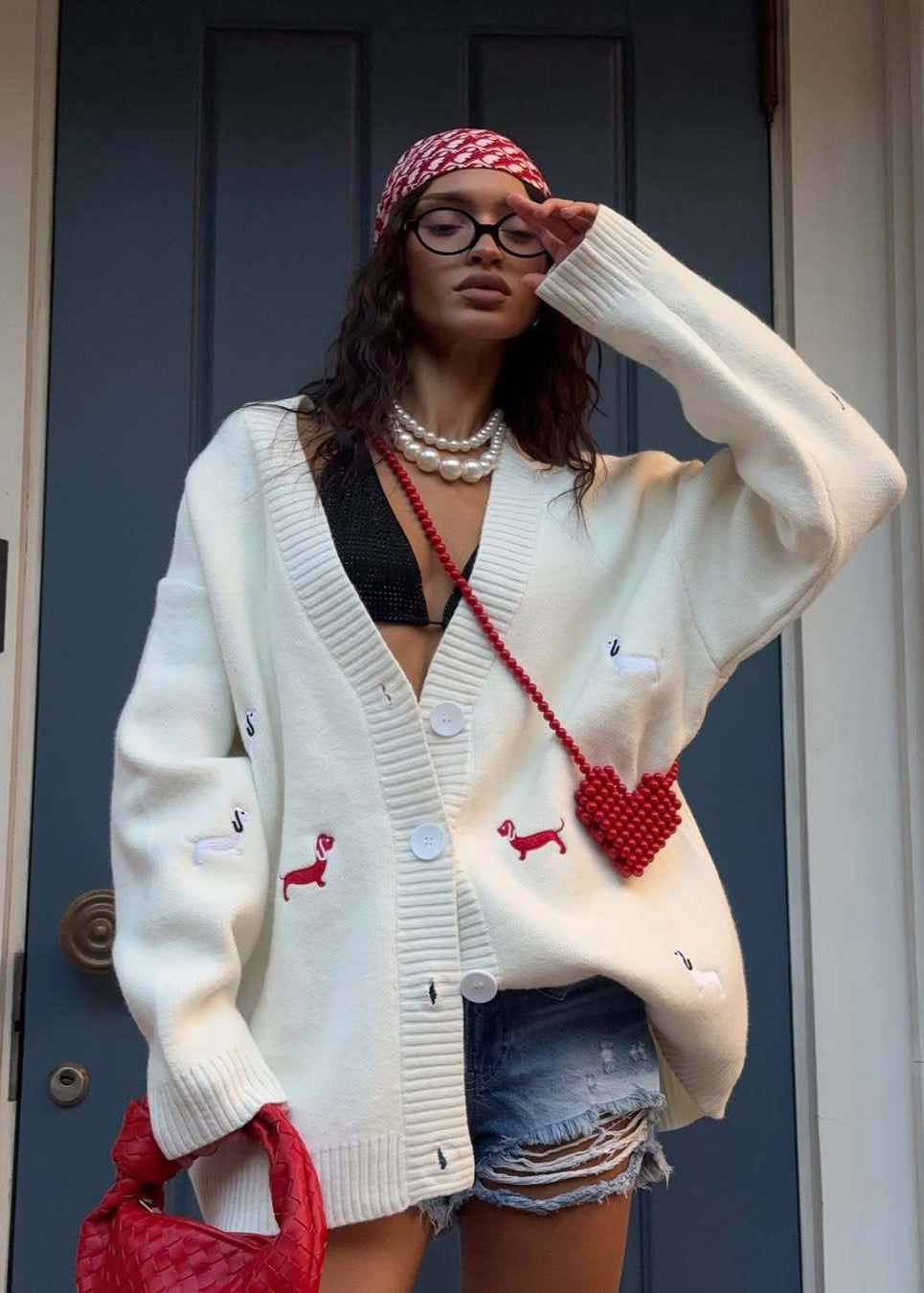 Oversized Dachshund Embroidered Cardigan Casual Knit Sweater