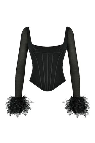 Square Neck Feather Trim Sheer Mesh Long Sleeve Crop Corset Top